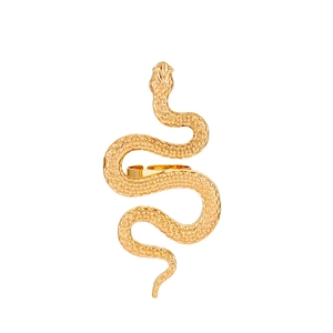 Macro shot of gold snake-shaped ring showing detailed scale texture and spiral design