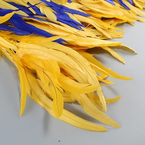 Detail of bright yellow and royal blue dyed natural feathers for DIY garment decoration