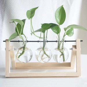 Hydroponic wood stand with three glass test tube vases on a minimalist white background
