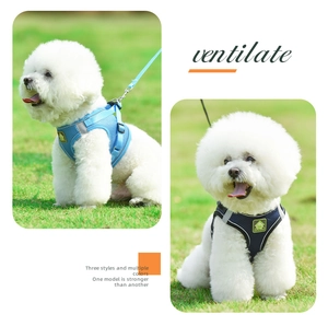 Detail view of breathable blue and black mesh dog harnesses for small breeds on grass