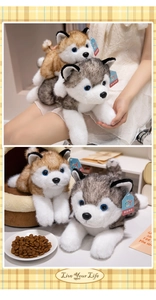 Detailed close-up of soft plush husky and shiba inu dog toys in cozy home settings