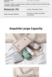 Detailed internal structure of the beige square crossbody bag showing multiple pockets