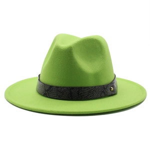 Close-up of green felt fedora hat with snake skin band and gold metal button detail