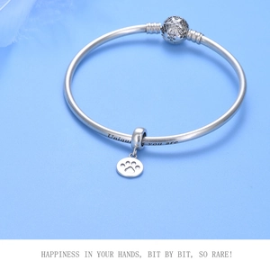 Macro shot of S925 sterling silver paw print charm and snowflake bead on a bracelet