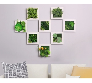 Set of eight white framed faux succulent wall art pieces arranged over a living room sofa