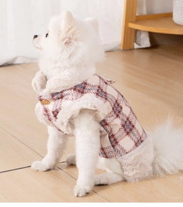 Detail of warm plaid pet vest with faux fur collar on a white Pomeranian dog