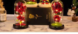 Close-up of preserved red roses in a glass dome with LED lights and a black gift box