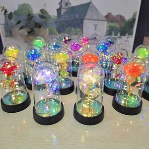 Close-up of vibrant rose night lights in glass domes with colorful petals and LED lights