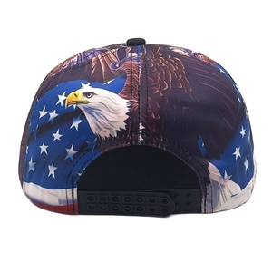 Rear view of snapback eagle hat featuring American flag design and black plastic strap