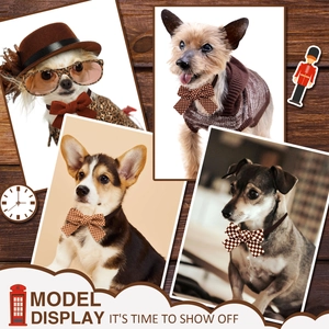 Classic British style pet bow ties in brown patterns shown on multiple small dog breeds