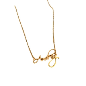 Minimalist gold titanium steel necklace featuring Audrey script name pendant for women