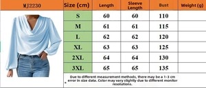 Detailed size chart for women's V-neck chiffon blouse with length and bust measurements