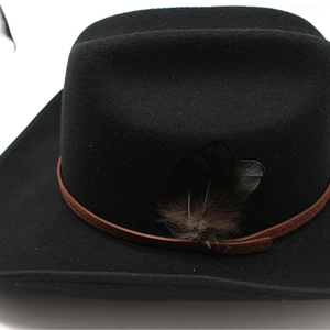 Detail of wool felt western cowboy hat featuring a brown band with dark feather ornaments
