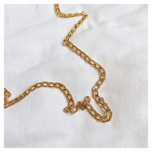 Detail of the high-quality gold metal chain strap with polished flat link design