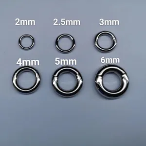 316L Stainless Steel Nose Ring Hinged Clicker Seamless Hoop Body Piercing Jewelry For Men Women Multiple Colors Basic Style