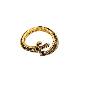 Makroansicht des goldenen Rings im Schwert-Stil mit aufwendigen Relief-Texturen und Details