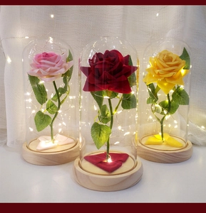 Detailed view of eternal roses in glass domes with LED lights and wood base