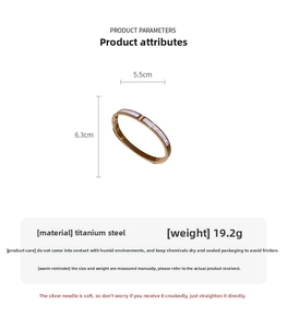 Detail view of titanium steel bangle with shell inlay and 5.5cm by 6.3cm dimensions