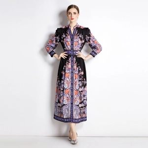 Robe longue vintage style palais à manches longues avec imprimé paisley et taille cintrée