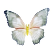 Détail d'une broche coquelicot en résine dégradée avec paillettes dorées et fermoir papillon
