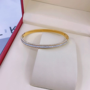 Minimalist gold titanium steel open bangle with double-row red zircon pavé stones
