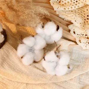 Three natural cotton flower stems with soft white bolls on beige linen background