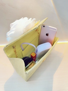 Detail showing the internal storage space of the champagne evening bag with accessories
