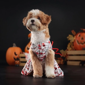 Détail de la robe d'Halloween pour chien avec pattes d'araignée rouges et motifs de sang