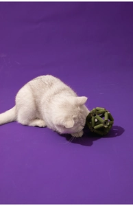 Detailopname van een lichte kat die speelt met een natuurlijke kattenkruid- en bijtbal