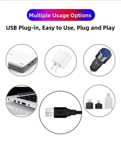 Universal USB multi-port connector for car star light with Type-C and Micro-USB adapters