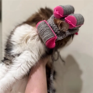 Close-up of funny grey knitted pet hat with pink rollers for cats and dogs hair salon look