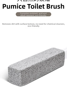 Macro detail of pumice stone toilet brush showing porous texture and long handle