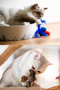 Cat playing with blue feather teaser wand and realistic chirping bird toy on wood floor