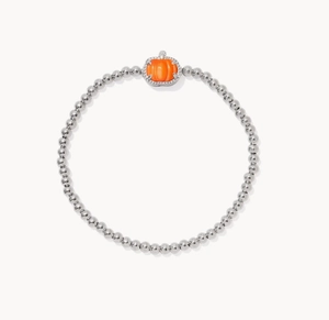 Macrodetail van zilveren kralen en een levendige oranje pompoenhanger voor de kettingen