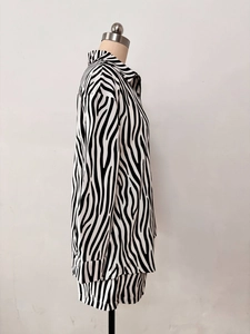 Vue latérale d'une chemise à manches longues et d'un short à imprimé zèbre