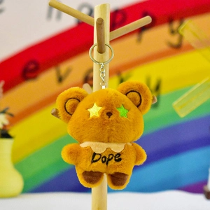 Porte-clés ours en peluche mignon avec yeux étoilés et broderie sur fond arc-en-ciel