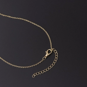 Golden lobster clasp and adjustable extension chain of the zircon fruit pendant necklace