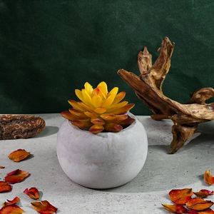 Vue rapprochée d'une plante succulente orange dans un pot rond en résine marbrée