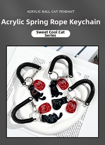 Flat lay of five black cat acrylic keychains with spring ropes on a white ceramic plate