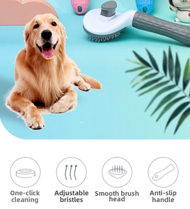 Détail de la brosse pour chat avec bouton autonettoyant et dents de peigne à bout rond