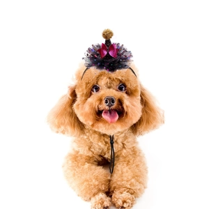 Detail of adjustable pet party hat with purple sequins and mesh on a poodle