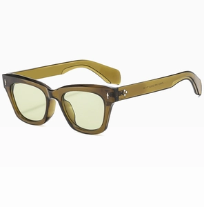 Detail view of cat-eye sunglasses temple showing ZN3801 model number and metal hinges