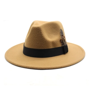 Detail of wool fedora hat with black ribbon band and decorative side feather