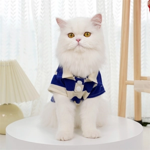 Close-up of blue and white striped knit cotton polo shirt on a white cat model