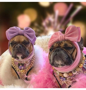 Detail of purple and pink pet bow headbands and collars on French Bulldogs