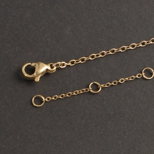 Golden 14K plated stainless steel chain necklace with lobster clasp and extension links