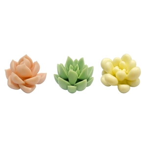 3D succulent silicone mold for DIY aromatherapy candles and creative resin crafts set