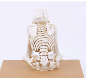 Detailed back view of a seated white resin skeleton figurine for Halloween decor