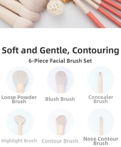 Macro detail of 6-piece facial brush set featuring coral and beige handles and soft bristles