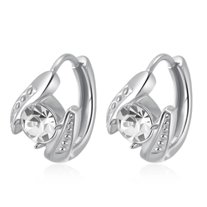 Close-up of silver stainless steel earrings set with sparkling round cubic zirconia
